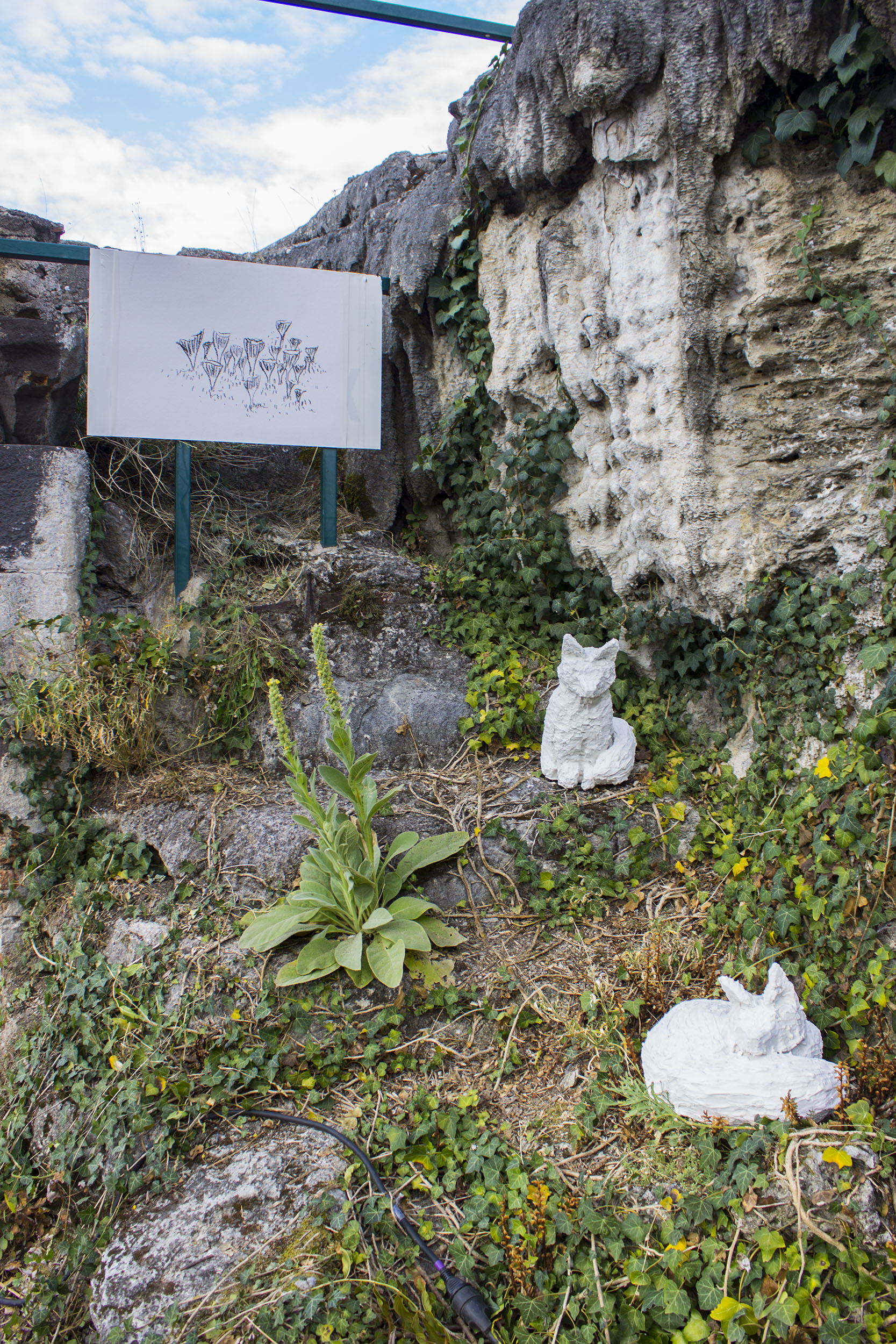 Deux sculptures de renardeaux en plâtre blanc, comme s'ils étaient recouverts de crépi, sont posés sur un talus. Un dessin de chanterlles au fusain est posé plus haut.